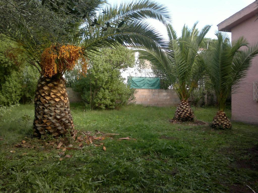 Il Fenicottero Rosa Villa Olbia Exterior photo
